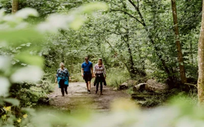 Developing our website for the future