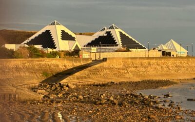 Sustainability Spotlight: SEA LIFE Scarborough