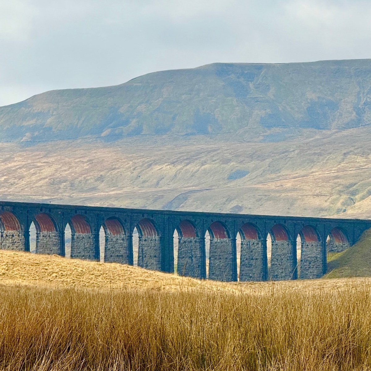 North Yorkshire Notes_1