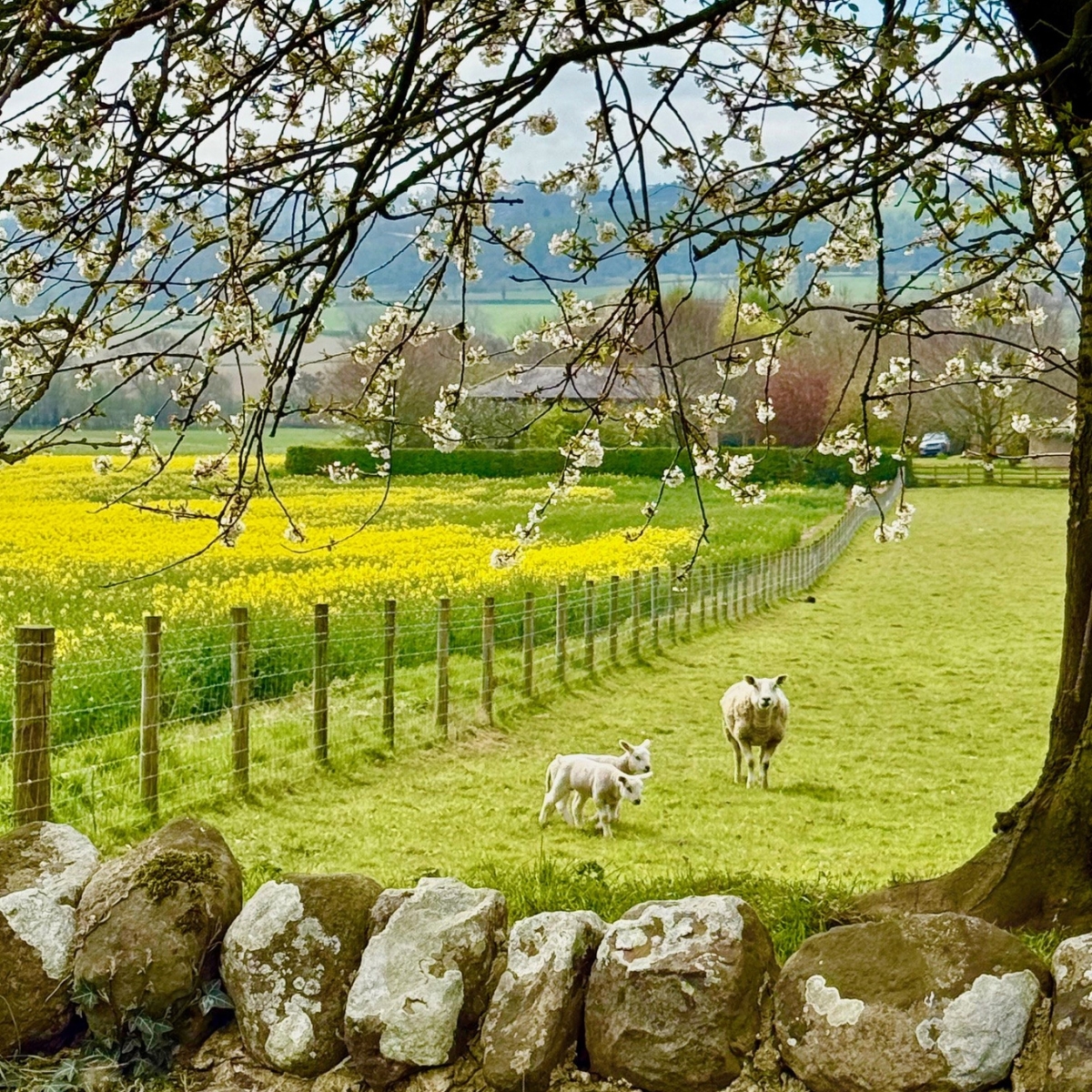 North Yorkshire Notes_1