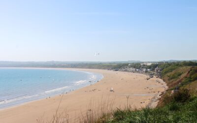 Free marketing workshops for North Yorkshire tourism businesses