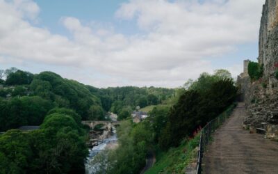 Overnight Visitor Levy: Your thoughts