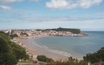 What to watch out for in 2026