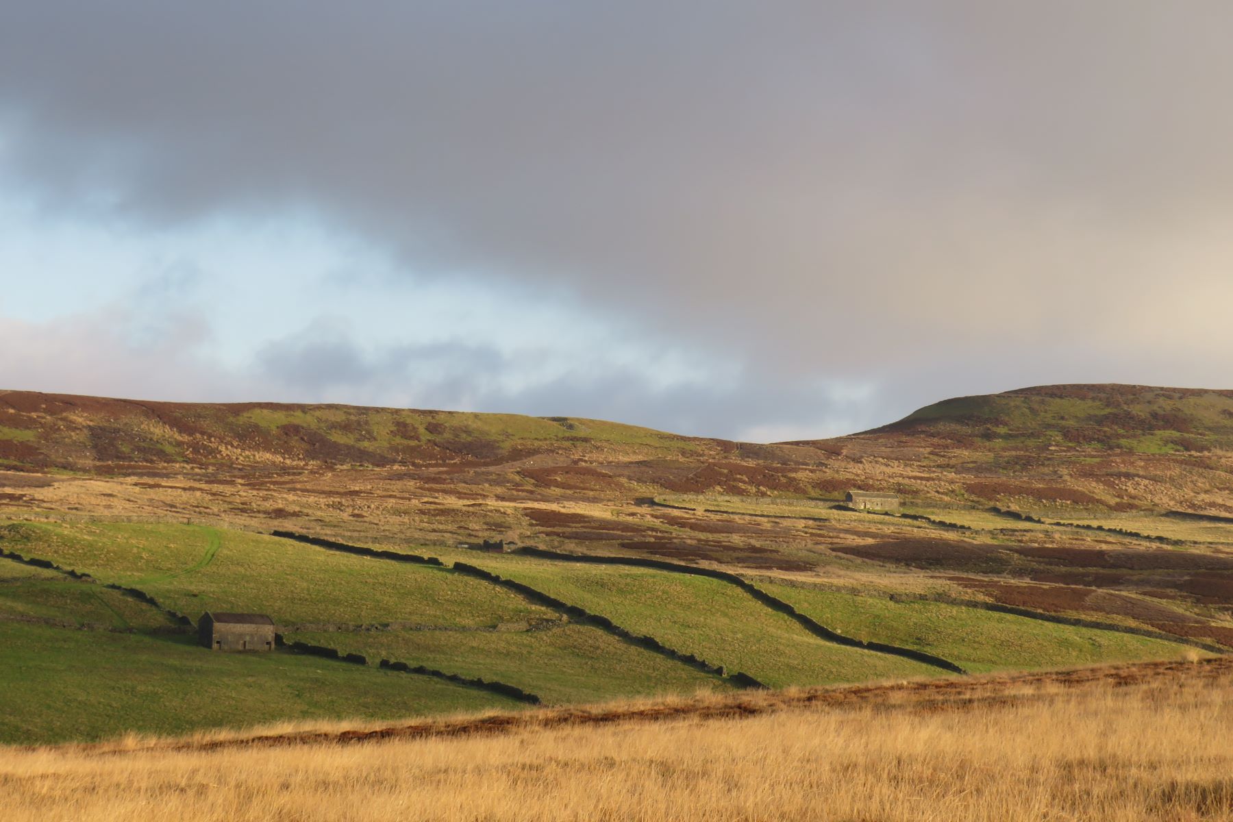 North Yorkshire Visitor Guide