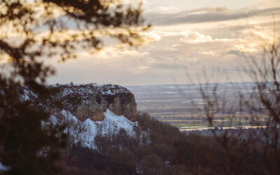 Come On In – Campaign Results