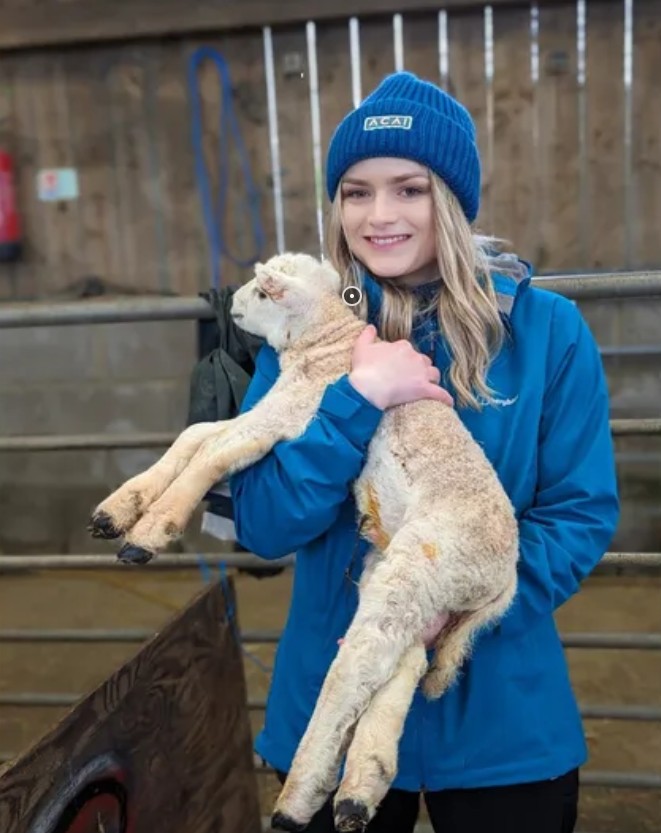 A woman holds a lamb that is few weeks old, in a barn.